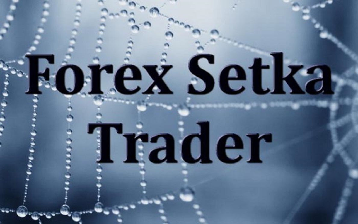 Советник forex setka trader 1.6